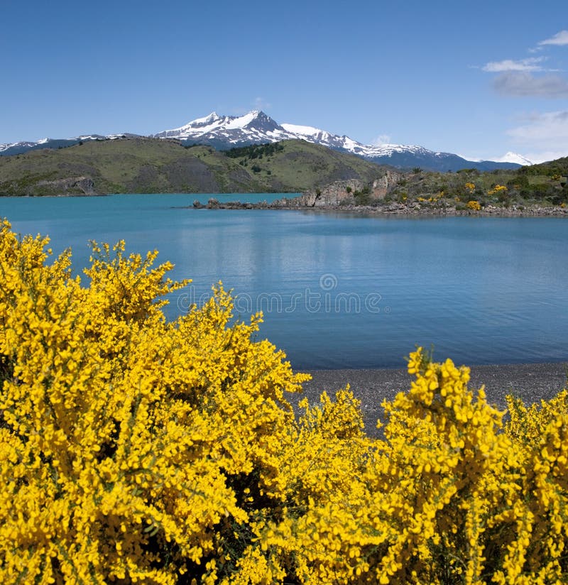 Torres del Paine nationalpark - Chile arkivbild Torres del Paine nationalpark - Chile arkivbild