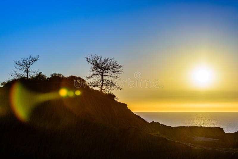 Torrey pine sunset royalty free stock photos
