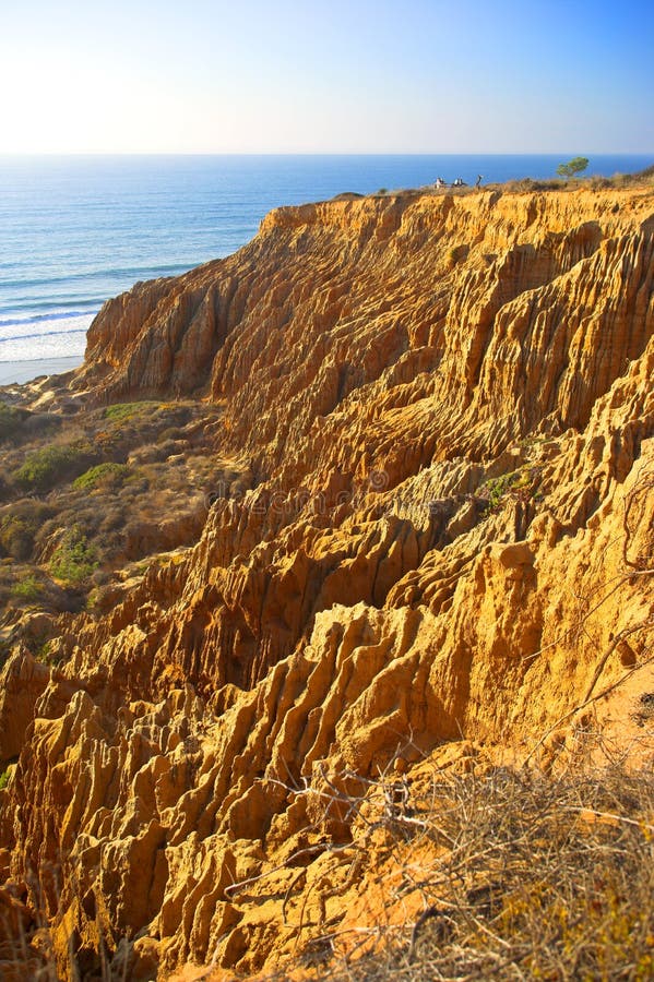 Torrey Pines