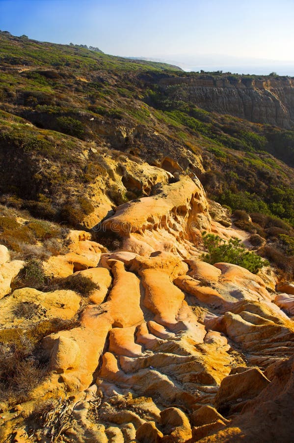 Torrey Pines