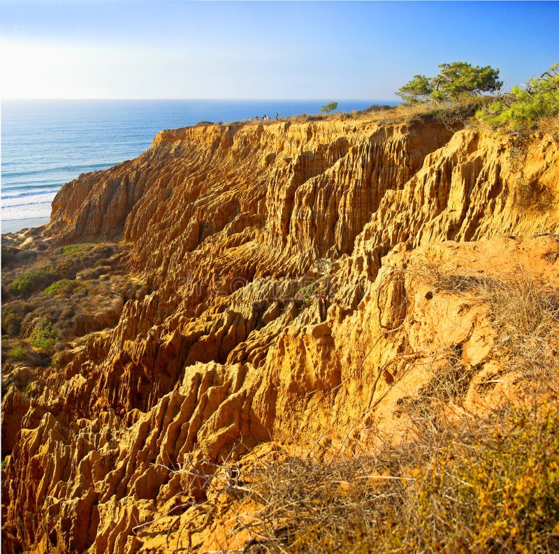 Torrey Pines