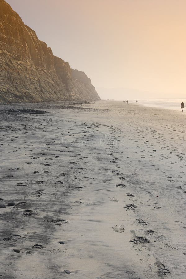 Torrey Pines Beach (San Diego)