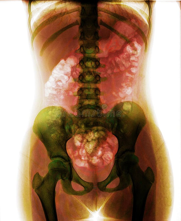 Torso della donna royalty illustrazione gratis Torso della donna royalty illustrazione gratis