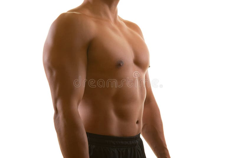 Torso muscolare maschio perfetto isolato su fondo bianco Concetto di forma fisica, di allenamento, di dieta e di addestramento immagini stock Torso muscolare maschio perfetto isolato su fondo bianco Concetto di forma fisica, di allenamento, di dieta e di addestramento immagini stock