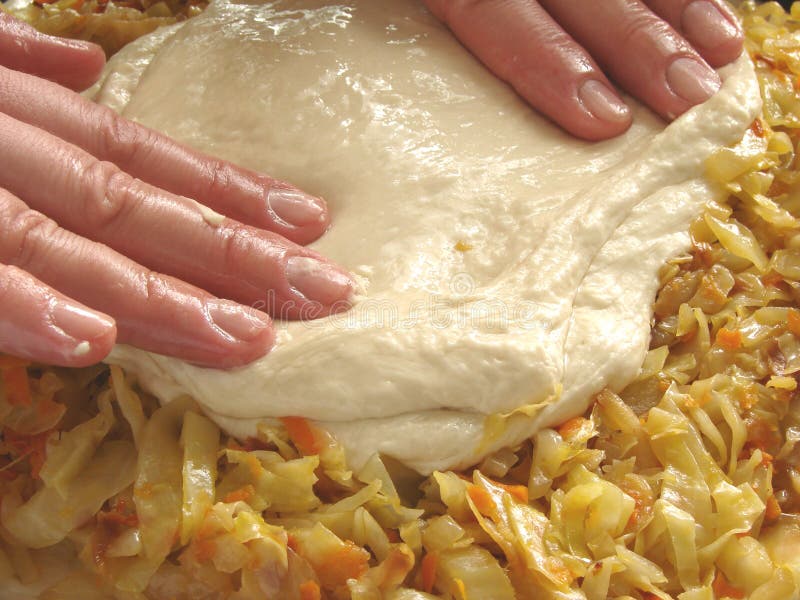 Torta 1 do repolho foto de stock Torta 1 do repolho foto de stock
