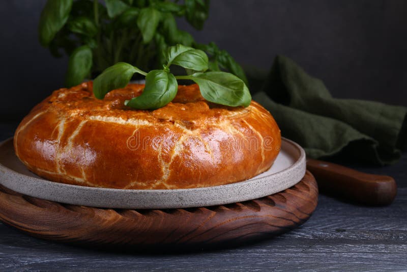 Torta de carne caseira foto de stock