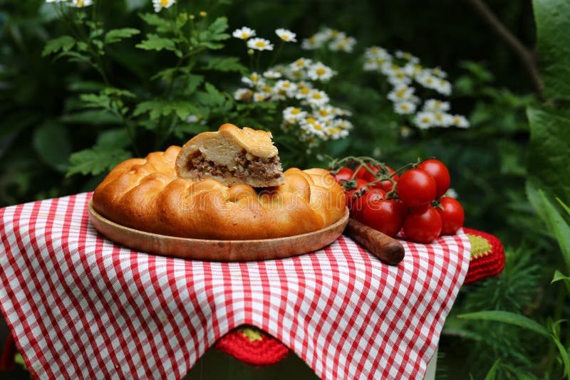 Torta de carne caseira foto de stock royalty free