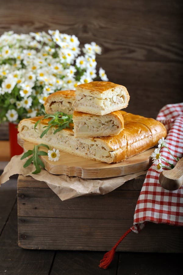Torta de carne caseiro fotografia de stock