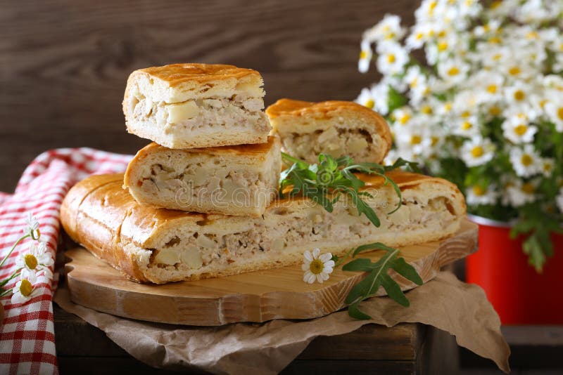 Torta de carne caseiro fotografia de stock royalty free