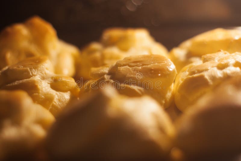 Tasty cakes baking in the oven, close-up view. Tasty cakes baking in the oven, close-up view