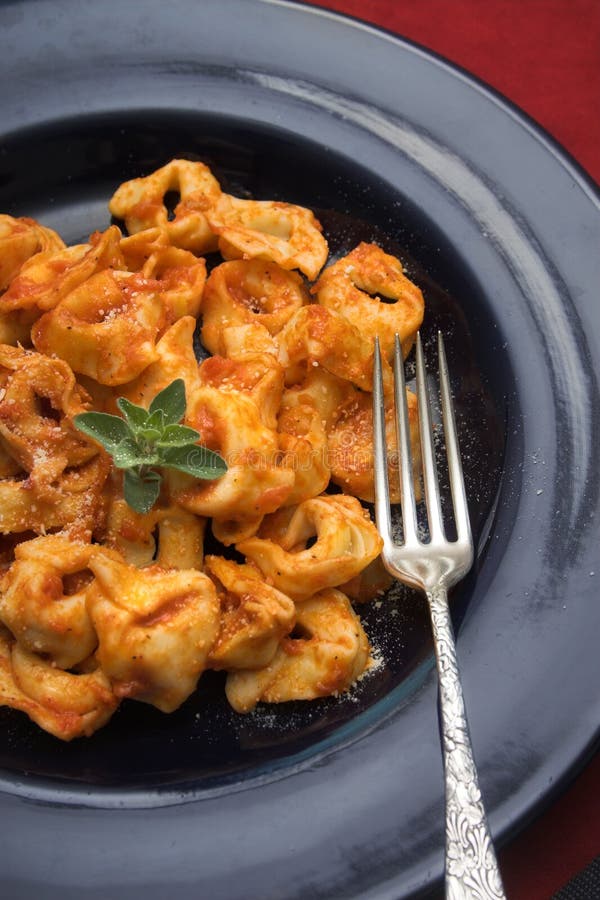 Tortellini Con Il Primo Piano Della Salsa Di Marinara Fotografia Stock