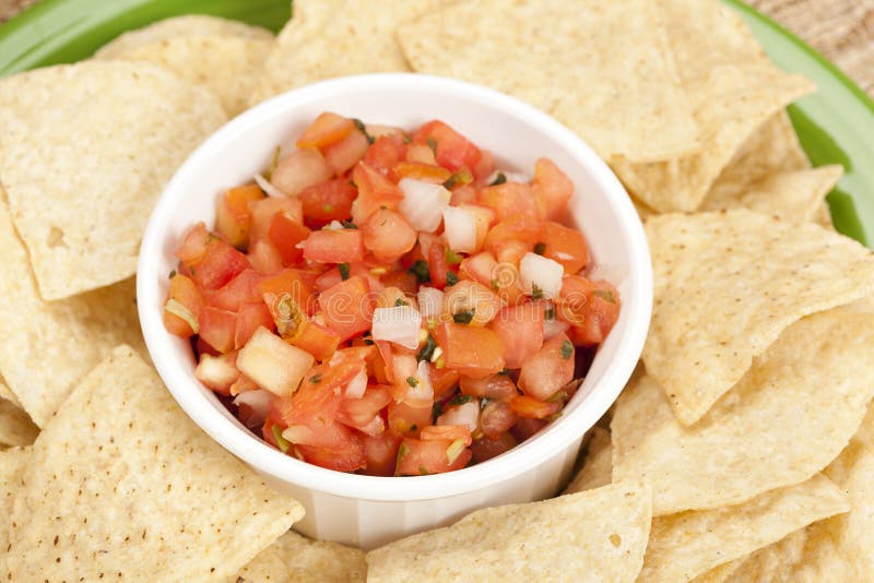 Tortilla Chips and Salsa stock photo. Image of salsa - 25249736