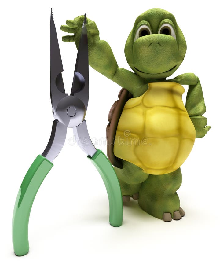 Tortoise con le pinze illustrazione di stock Tortoise con le pinze illustrazione di stock