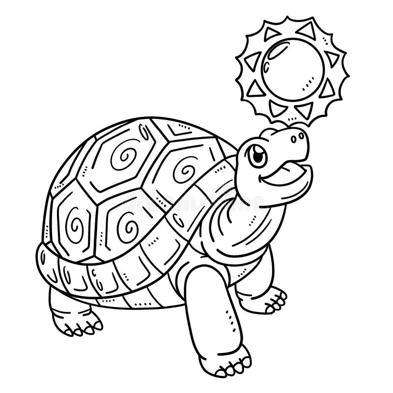 Cartoon Animal Turtle PNG Images | PSD Free Download - Pikbest