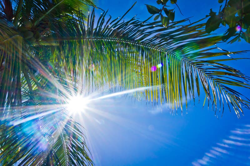 Beautiful view of Tortola, British Virgin Islands. Beautiful view of Tortola, British Virgin Islands