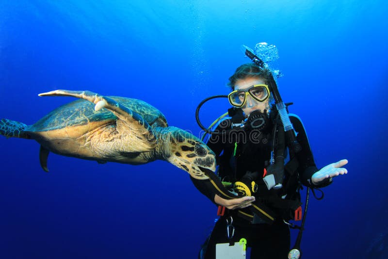 plongeur rencontre tortue