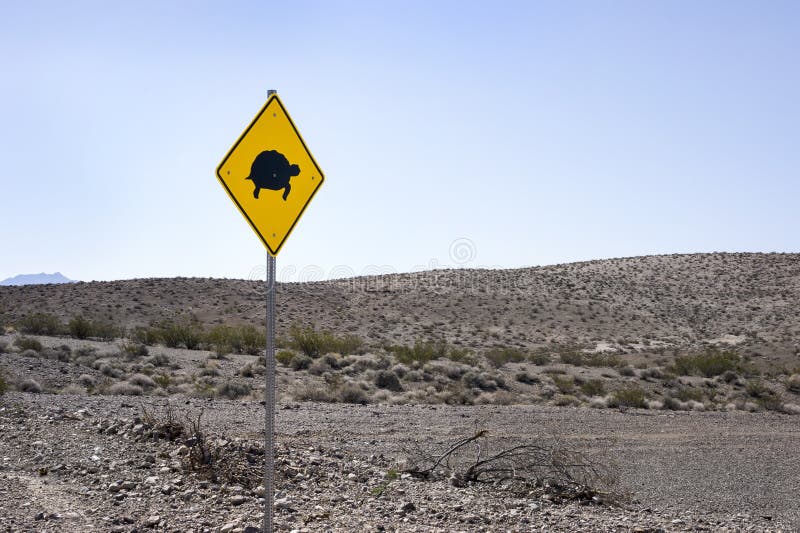 Tortue ! Panneau d'avertissement de route photos stock Tortue ! Panneau d'avertissement de route photos stock