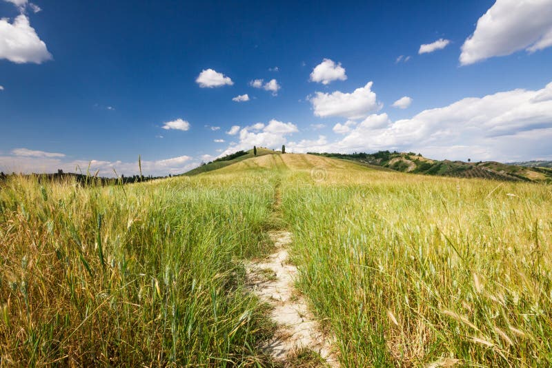 Toscaans landschap dichtbij Certaldo (Florence, Italië) stock afbeelding Toscaans landschap dichtbij Certaldo (Florence, Italië) stock afbeelding