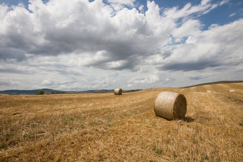 Toscaans landschap in Val-d'Orcia (Siena, Italië) royalty-vrije stock foto's Toscaans landschap in Val-d'Orcia (Siena, Italië) royalty-vrije stock foto's