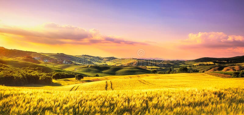 Toskana-Frühling, Rolling Hills bei Sonnenuntergang Landwirtschaftliche Landschaft Whaet