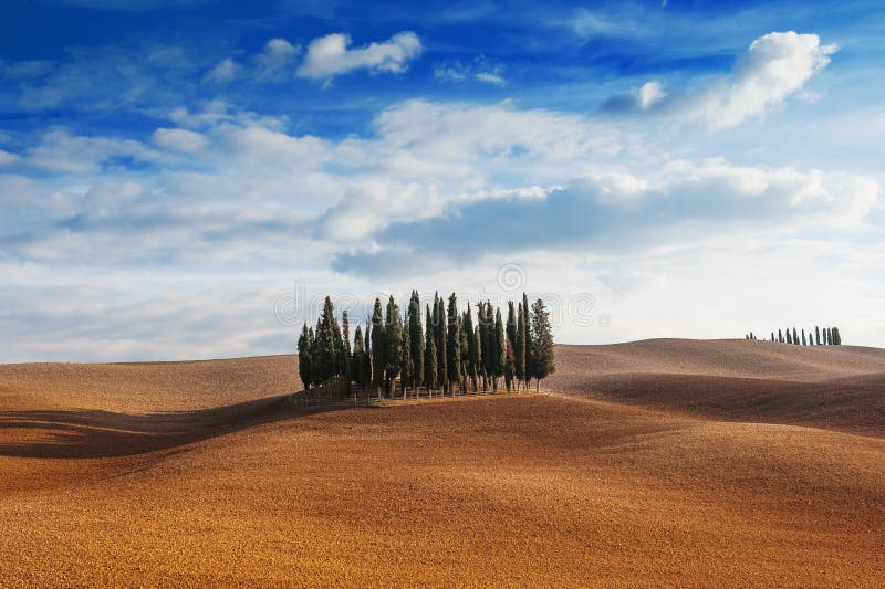 Toskana, Italien - szenische Ansicht der toskanischen Landschaft mit Rolling Hills, kleiner Zypressenbaumwald und blauer Himmel m