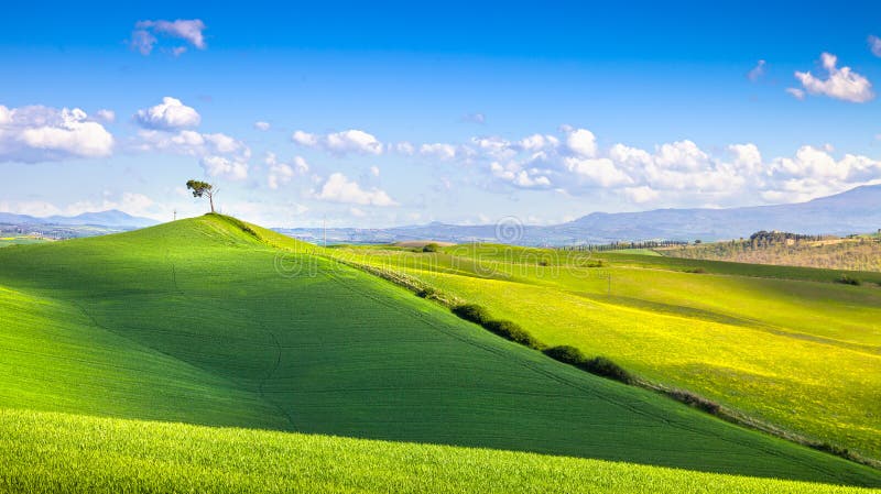 Toskana-Panorama, Rolling Hills, Felder, Wiese und einsamer Baum