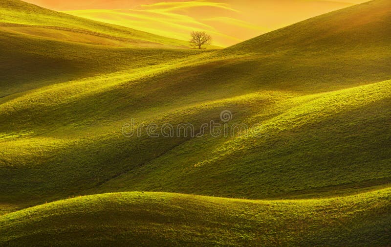 Toskana-Panorama, Rolling Hills, Felder, Wiese und einsamer Baum