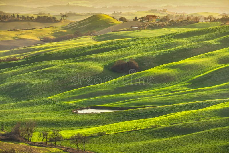 Toskana-Panoramarolling hills Bäume und grüne Felder. Italien