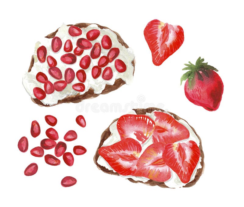 Tostadas de la fruta de la acuarela ilustración del vector Tostadas de la fruta de la acuarela ilustración del vector