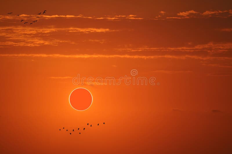 Total Solar Eclipse on the Red Orange Sky in the Mornning Stock Photo ...