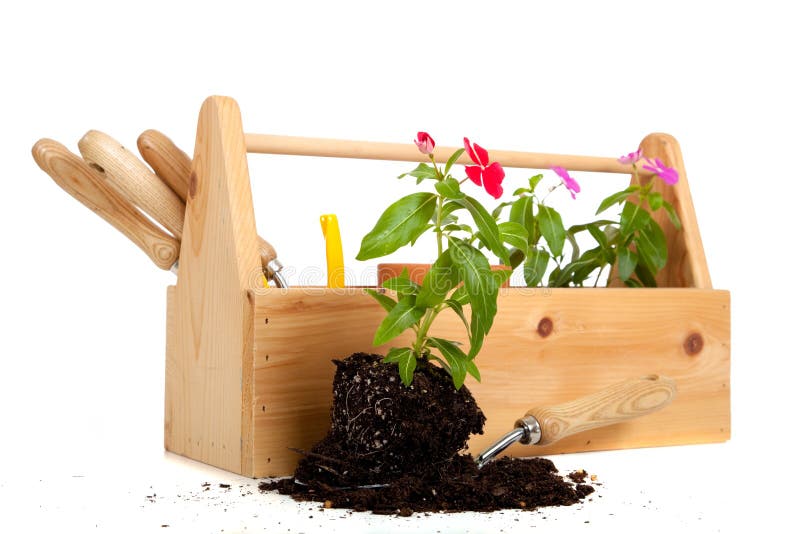 A gardener's tote box on a white background with tools, plants and gloves. A gardener's tote box on a white background with tools, plants and gloves