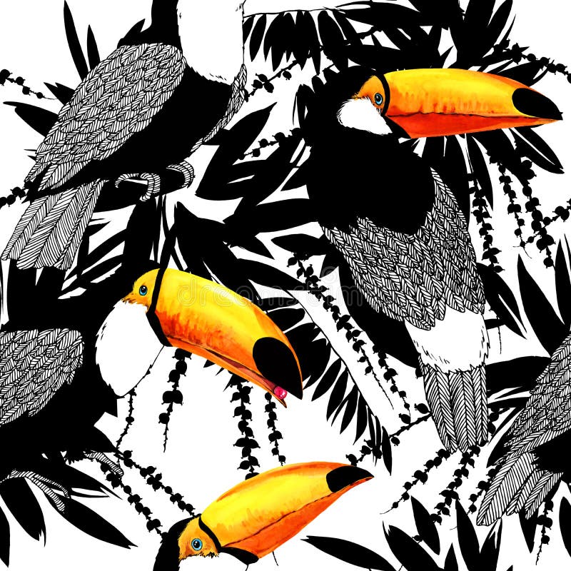 Toucan Modèle sans couture de nature exotique illustration stock Toucan Modèle sans couture de nature exotique illustration stock