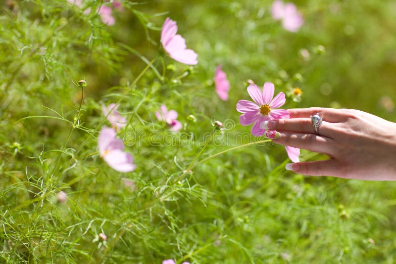 Touching flowers