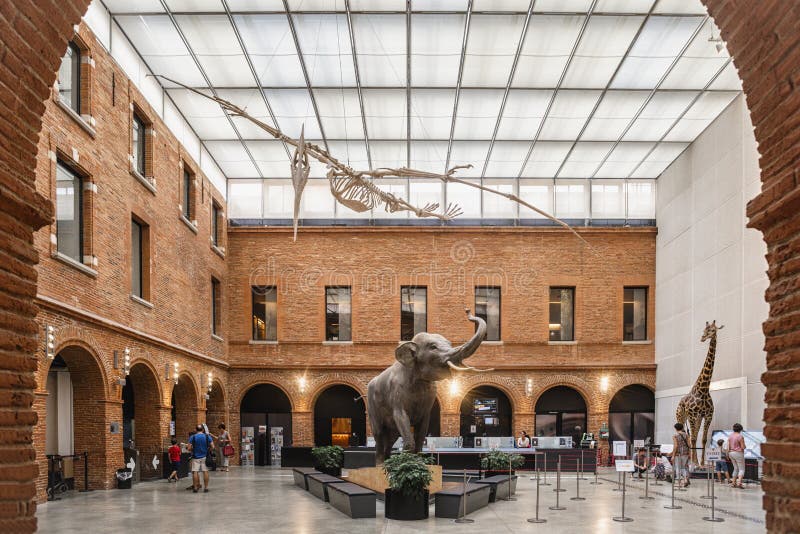 Main entrance of the Natural History Museum of Toulouse