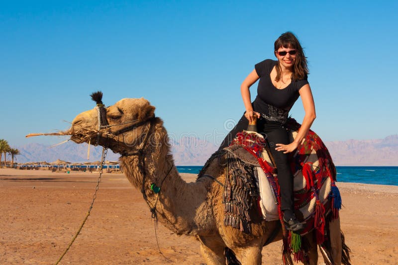 Tour camel Egypt