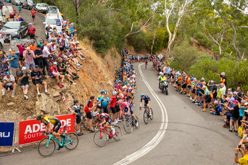 Tour Down Under 2019 stock images Tour Down Under 2019 stock images