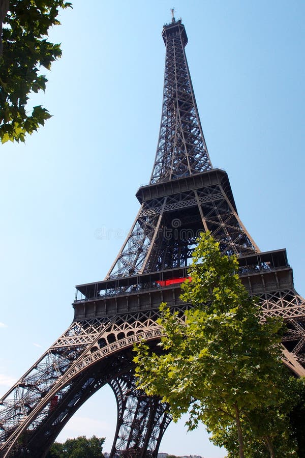 paris tour eiffel arbres