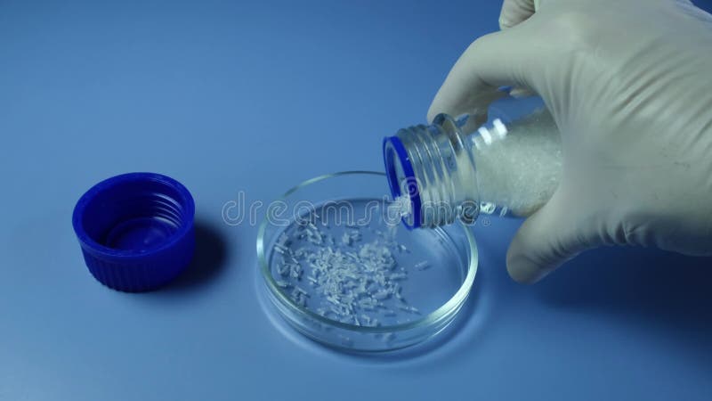 Tourbillons à main gants oblong granules cristallins blancs de la bouteille de verre de laboratoire dans une boîte de Pétri.