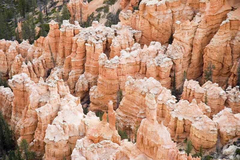 Touring Bryce Canyon 15