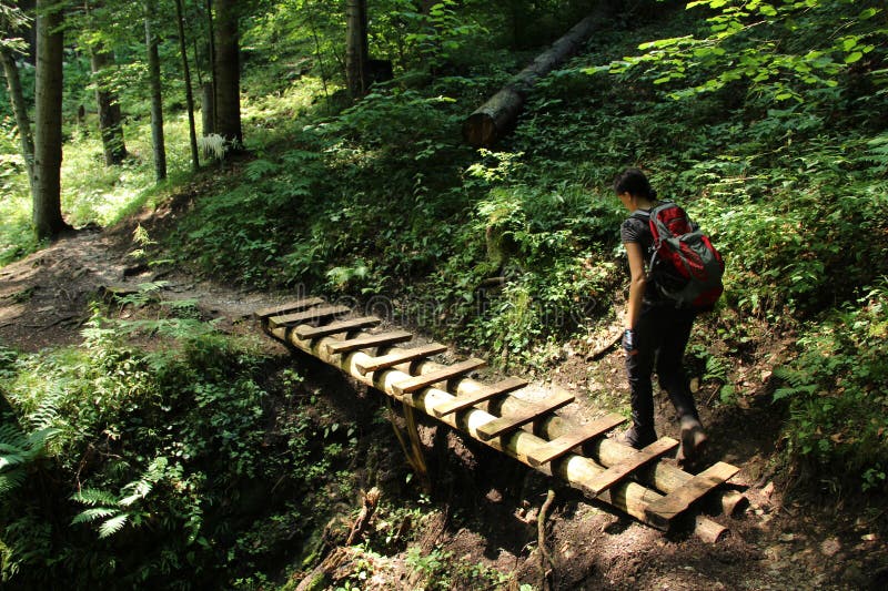 Turista v překrásných roklinách Národního parku Slovenský ráj