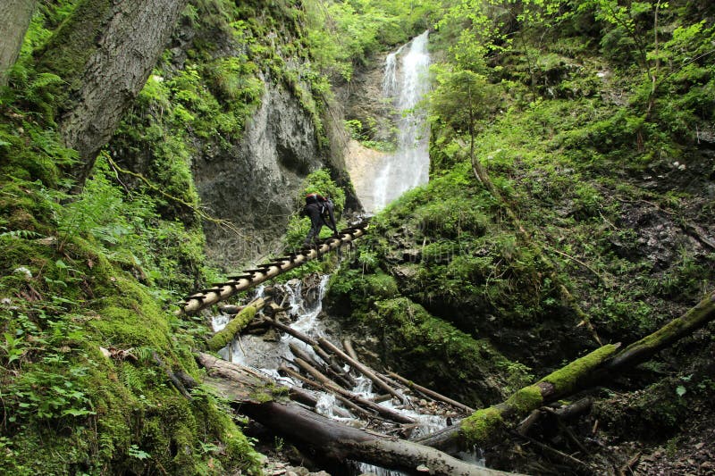 A tourist in the beautiful gorges of the Slovak Paradise National Park