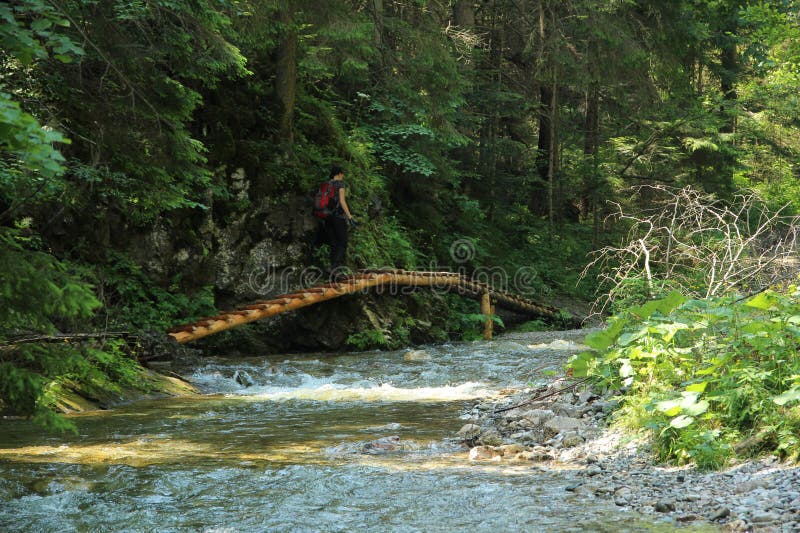 A tourist in the beautiful gorges of the Slovak Paradise National Park