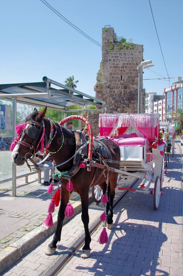 Cart in the street. City center of Antalya on turkish riviera. Turkey. Cart in the street. City center of Antalya on turkish riviera. Turkey