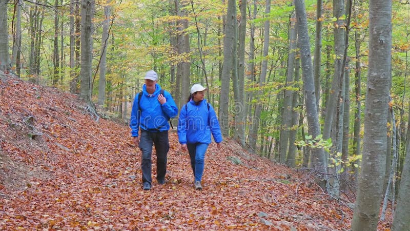 Tourist couple walking in the beech forest in autumn