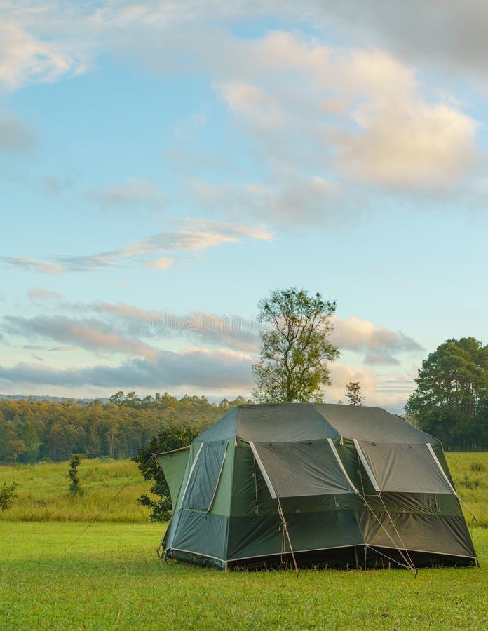 Tourist dome tent camping at forest camping site stock photos