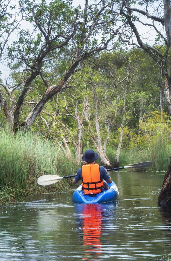 Tourist Kayaking at Rayong Botanical Gardens, a Wetland Ecosystem Open
