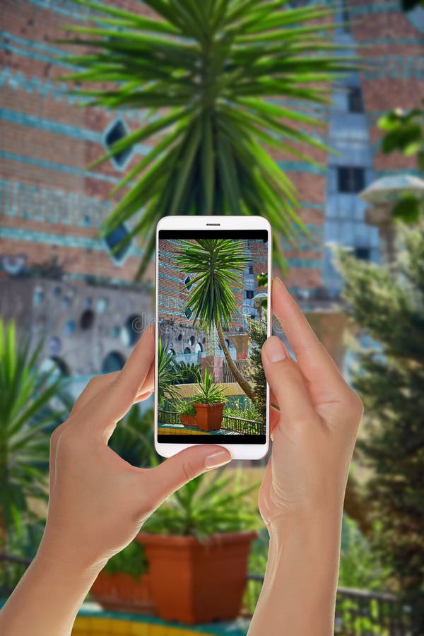 Tourist makes a photo of green palm tree