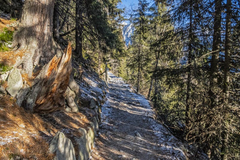 Tourist path in High Tatras, Slovakia, winter scene