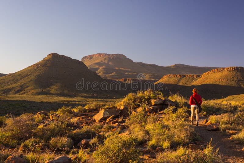 Tourist walking on marked trail in the Karoo National Park, South Africa. Scenic table mountains, canyons and cliffs at sunset. Ad royalty free stock image Tourist walking on marked trail in the Karoo National Park, South Africa. Scenic table mountains, canyons and cliffs at sunset. Ad royalty free stock image