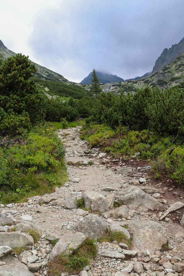Turistický chodník v horách vo Vysokých Tatrách na Slovensku. Kamenná cesta do lesa